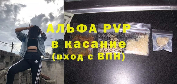 гашик Магас