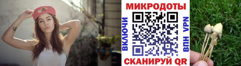 сколько стоит Мариинский Посад Псилоцибиновые грибы Magic Shrooms